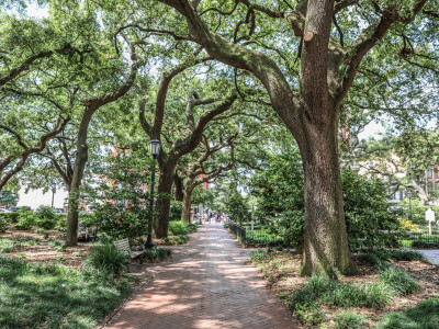 Wright Square